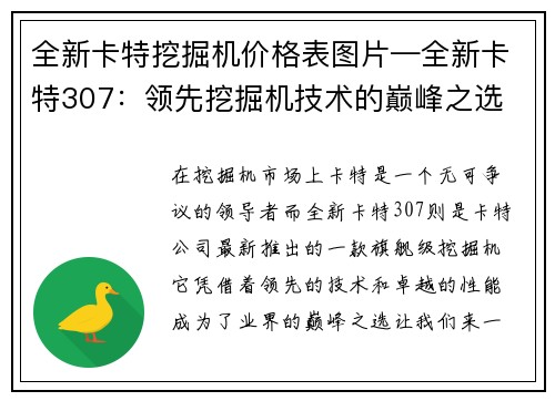 全新卡特挖掘机价格表图片—全新卡特307：领先挖掘机技术的巅峰之选